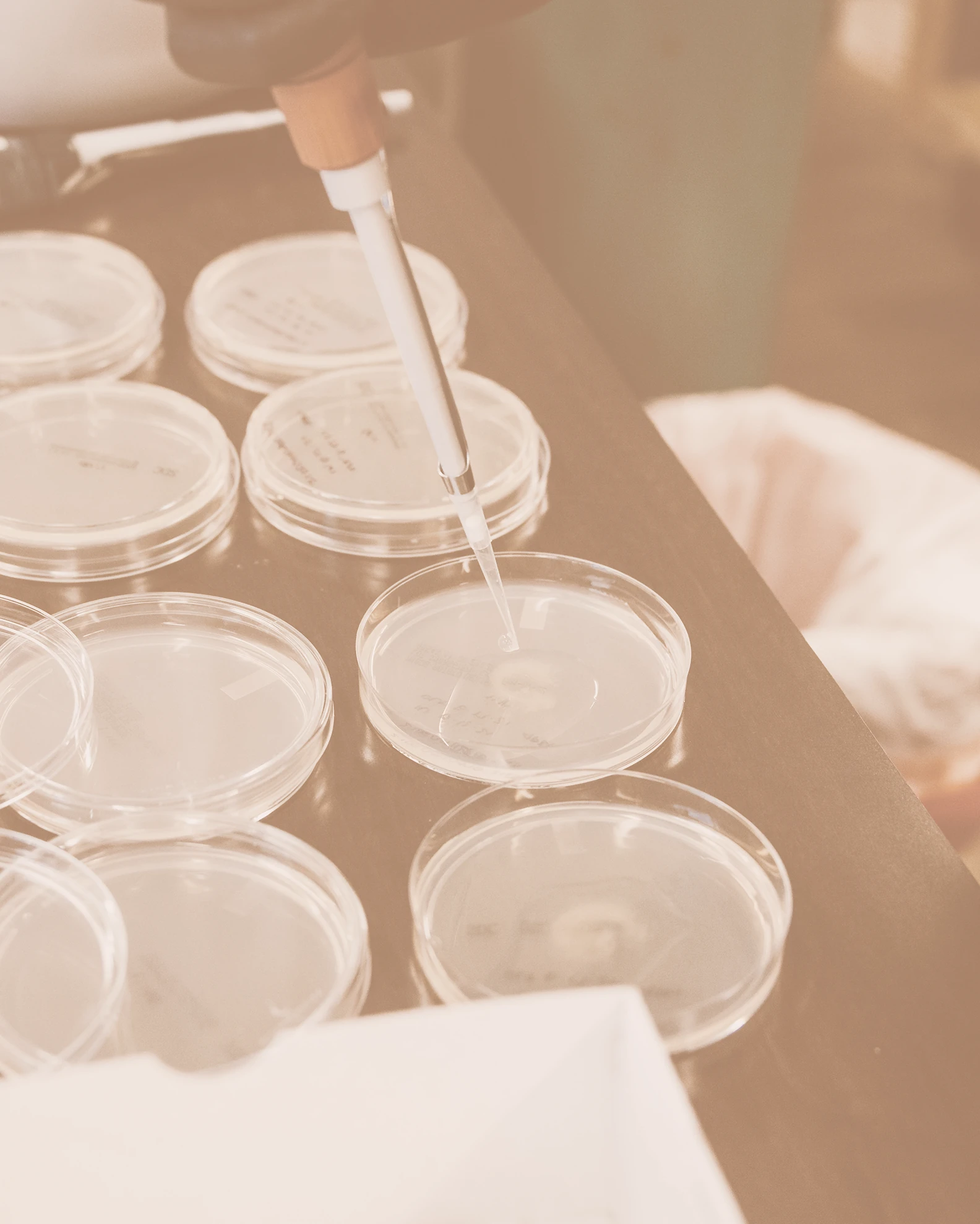 Biotecnología PHI Fungi